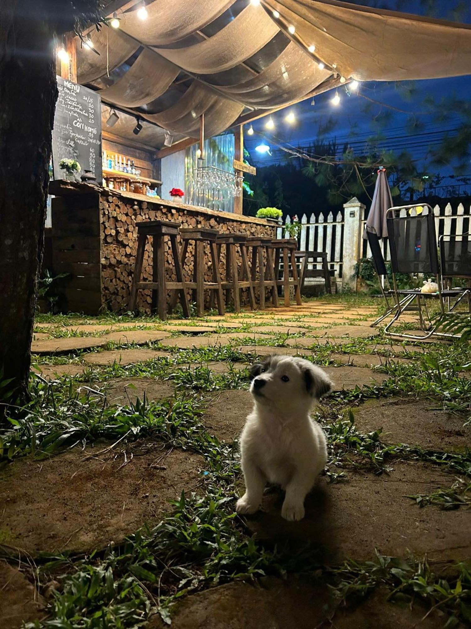 ชิโน โฮมสเตย์ มังเดน Kon Tum ภายนอก รูปภาพ